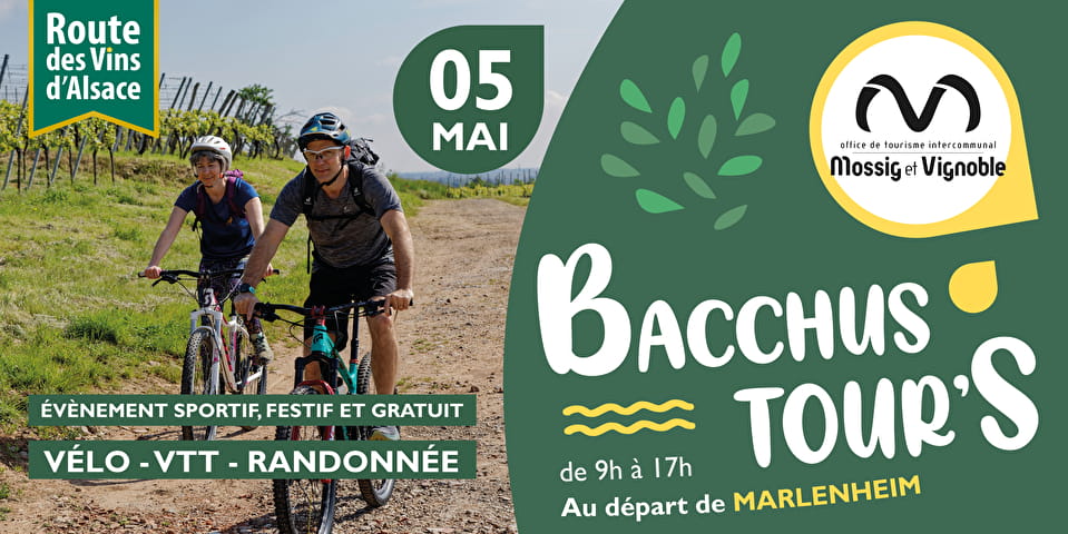 Bacchus Tours, évènement, strasbourg, vélo, vtt, randonnée